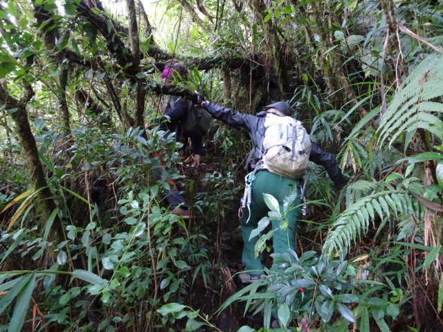 Le sentier oublié se remarque assez bien au début