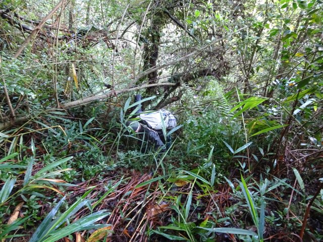 Mais , très vite, on ne le cherche même plus !