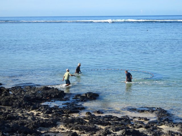 Prendre le temps d'assister à la pêche au filet dans les eaux claires du lagon