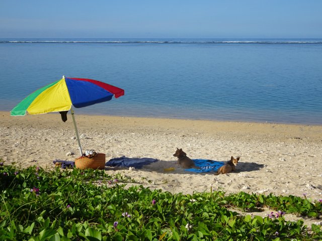 Les eaux calmes incitent à la baignade que l'on peut réserver en fin de randonnée
