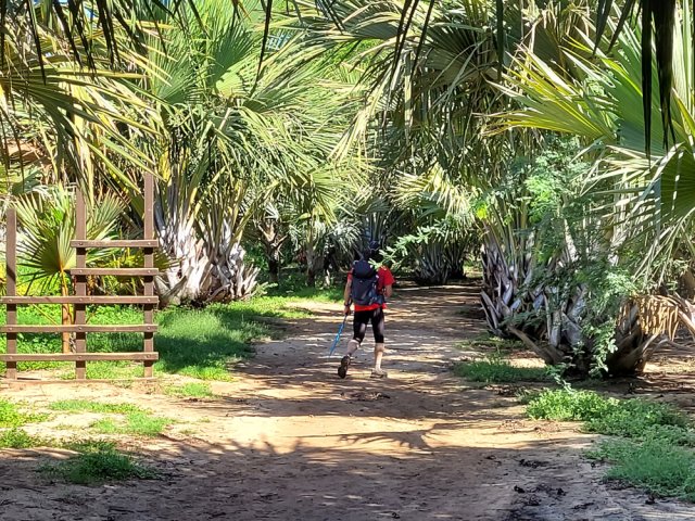 Très agréable balade ombragée sur le parcours sportif