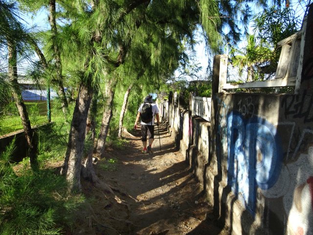 Les allées piétonnières menant à la plage sont très nombreuses
