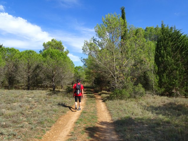 La jonction par piste dans un cadre verdoyant est une agréable balade