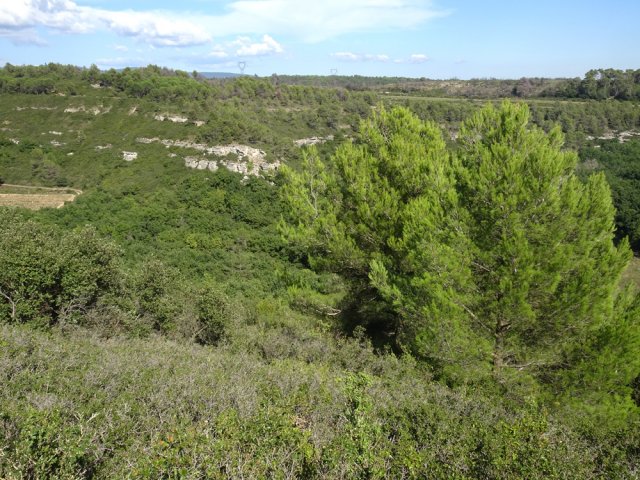 La vallée du Rieu Sec bordée de falaises calcaires
