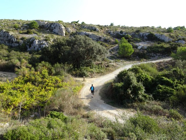 Quelques courtes dents de scie pour franchir des ruisseaux