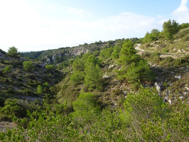 La petite vallée du Ruisseau de l'Hort Vieil