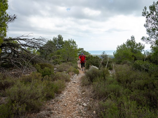 Le sentier du Plateau de Vente-Farine