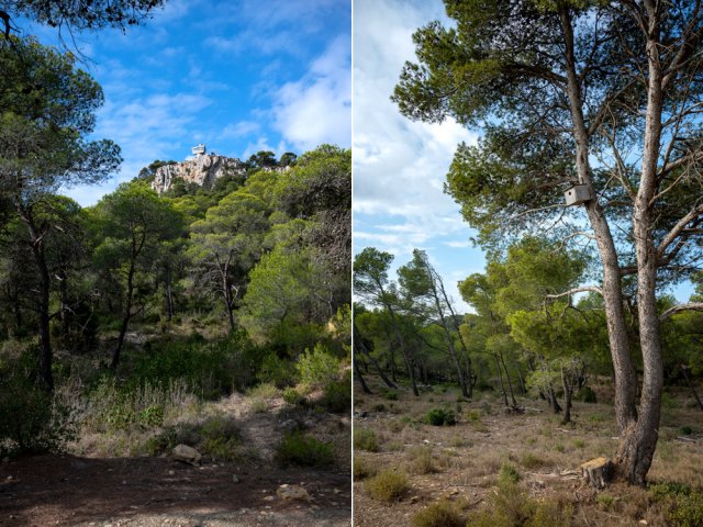 La tour de gué depuis les Abattuts