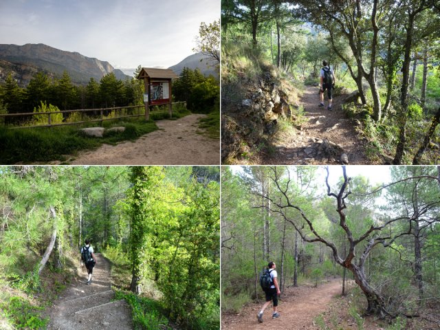 L'agréable sentier partant de l'auberge de Montfalco