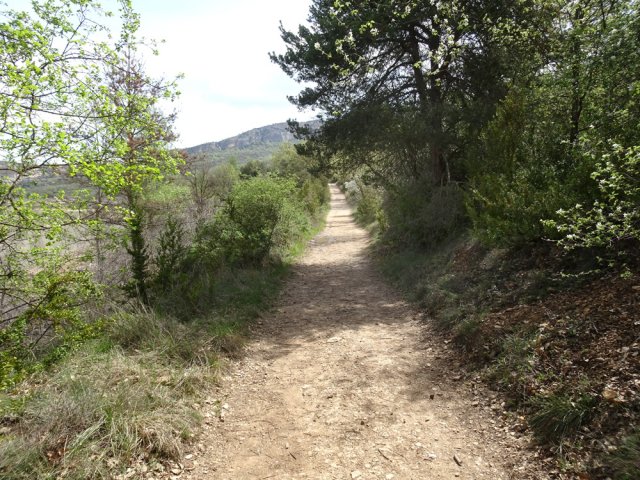 La jonction avec la route s'effectue sur un agréable parcours