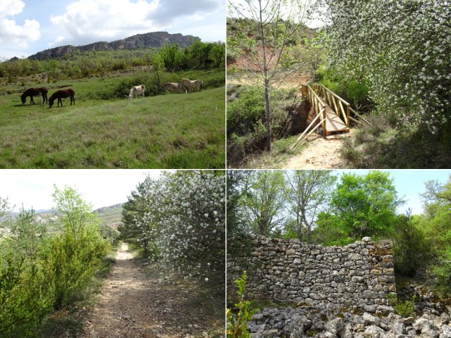 Prendre le GR1 pour changer un peu de paysage