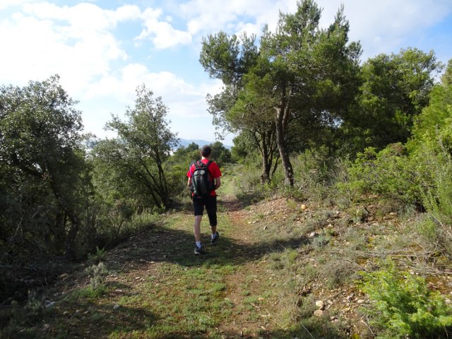 La descente débute sur une piste large et facile