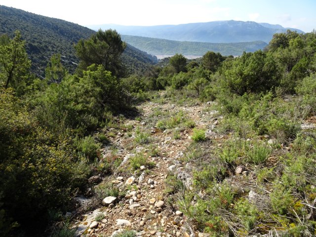 La piste disparaît doucement pour être remplacée par un sentier caillouteux