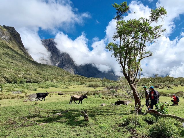 Une cinquantaine de vachettes vivent au frais à l'année à 1760 m d'altitude
