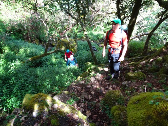 La montée est immédiate et rude parfois dans les jouvences et roches moussues