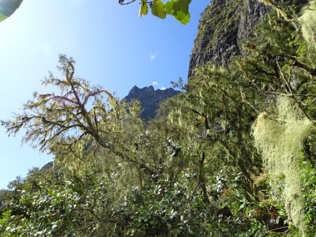 On s'approche des hautes falaises avec vues sur le Gros Morne