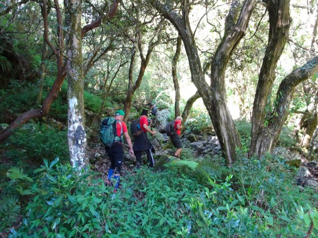 Très rares portions plates durant cette montée