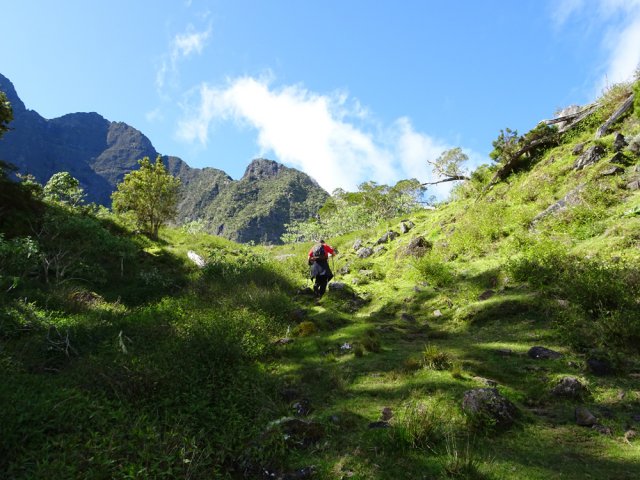 Les prairies débutent avant d'arriver au plateau
