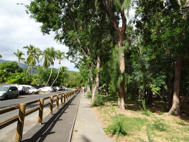 Départ du circuit rectiligne le long des filaos