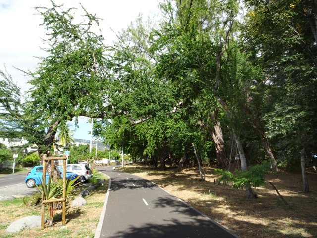 Encore un contournement de parking