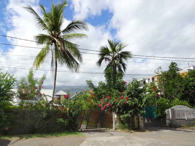 Jardins fleuris de l'autre côté de la rue
