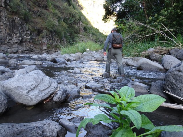 Très vite, il faut quitter la piste et traverser les pieds dans l'eau