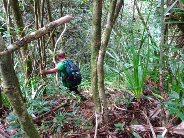 La descente est plus délicate que la montée
