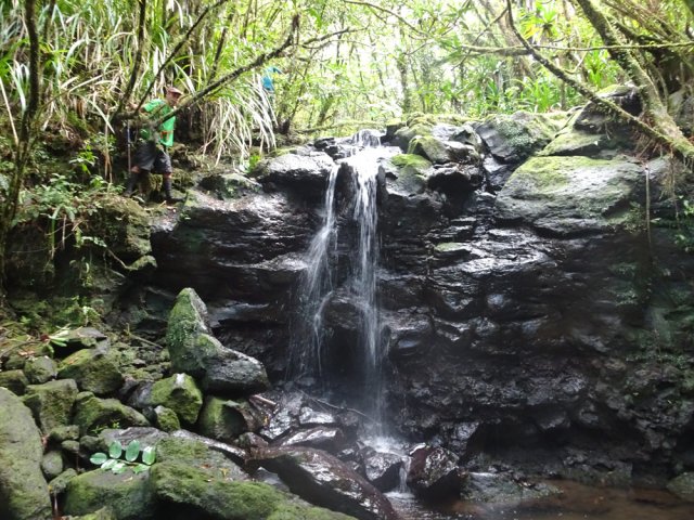 Celle-ci est très facile en rive droite