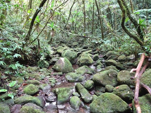 La ravine peut être large par endroits