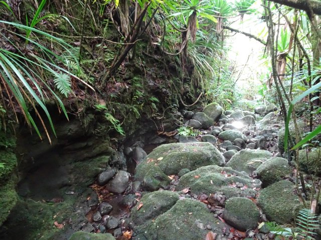 Quelques parties de la ravine se transforment en petits canyons