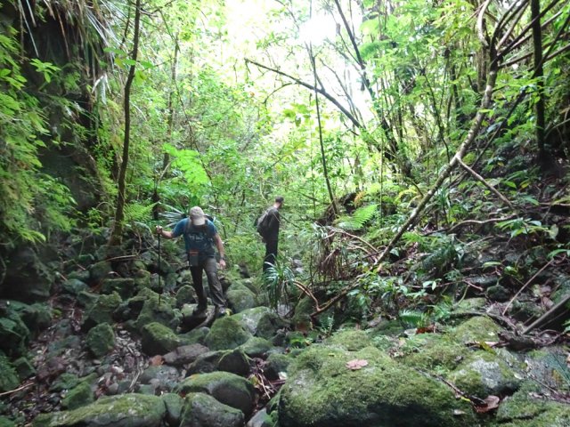 Le lit se rétrécit progressivement