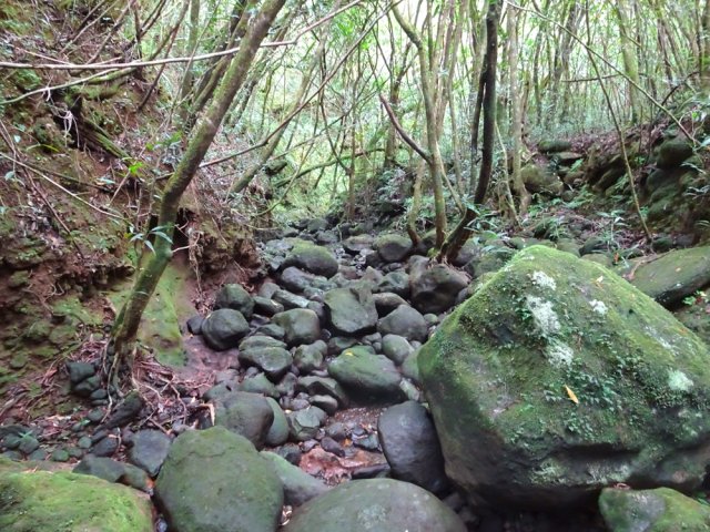 Journée très éprouvante pour les chevilles