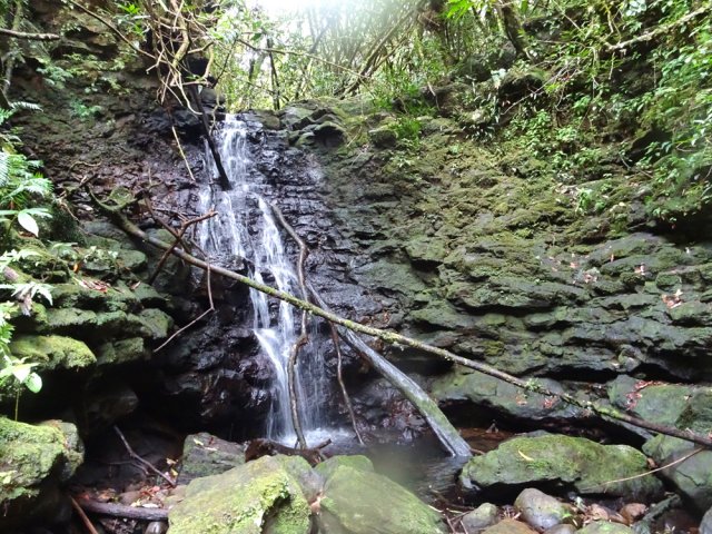 La première cascade qui imposera de franchir le rempart en rive gauche