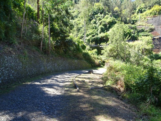 Faible descente sur un sol empierré