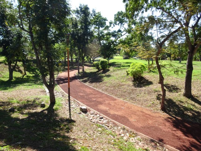 Pas encore assez d'arbres pour marcher constamment à l'ombre