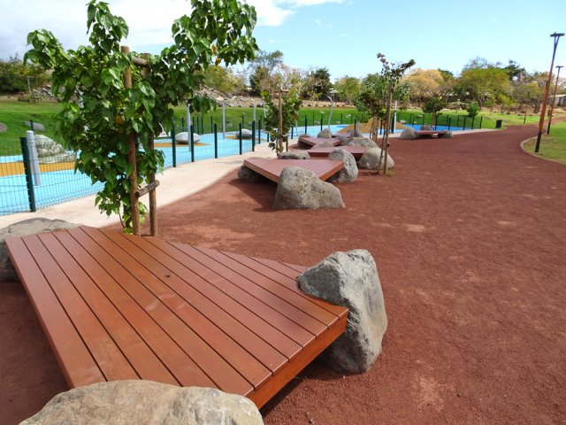 Les arbres sont trop petits pour procurer de l'ombre