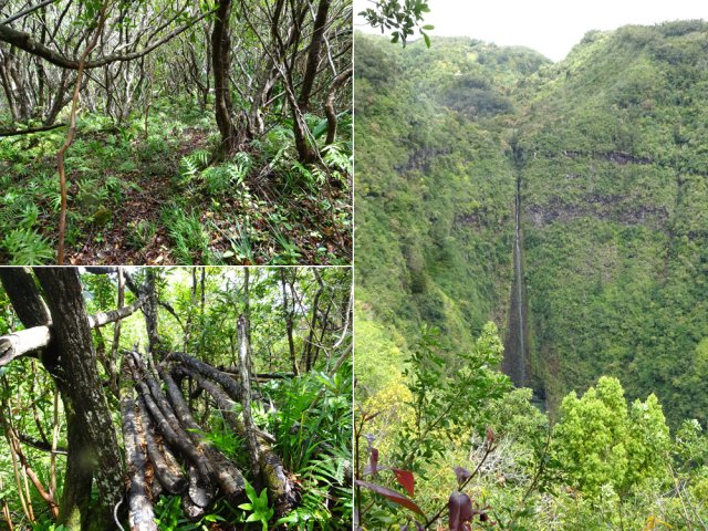 Très court détour pour monter au point de vue sur la Cascade du Butor
