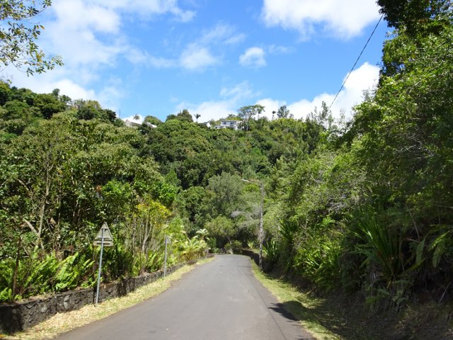 L'agréable Chemin de Comète avant de franchir la Ravine Boucan Launay