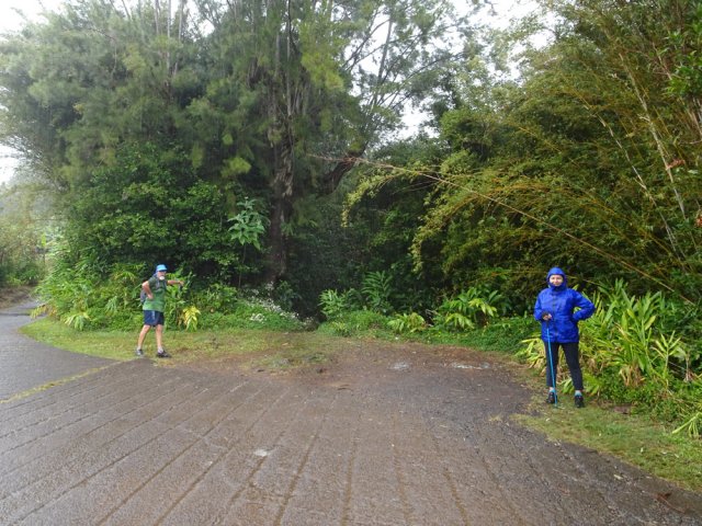 Fin de la montée au départ du sentier Laverdure