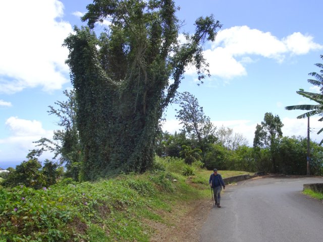 Emprunter le Chemin de la Glacière jusqu'au château d'eau