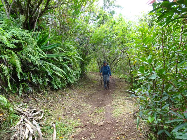 Le large sentier est très fréquenté par les coureurs et marcheurs