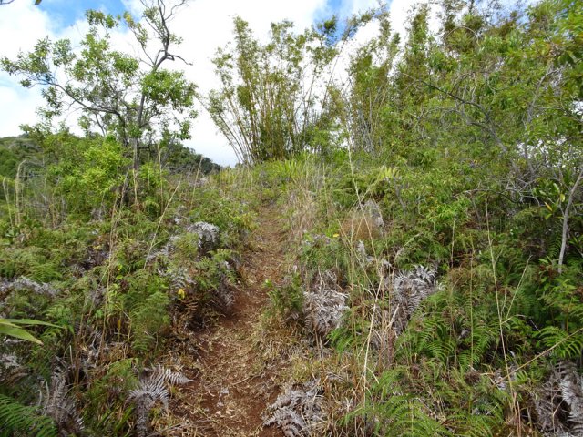 Le sentier facile à suivre est parallèle à la piste