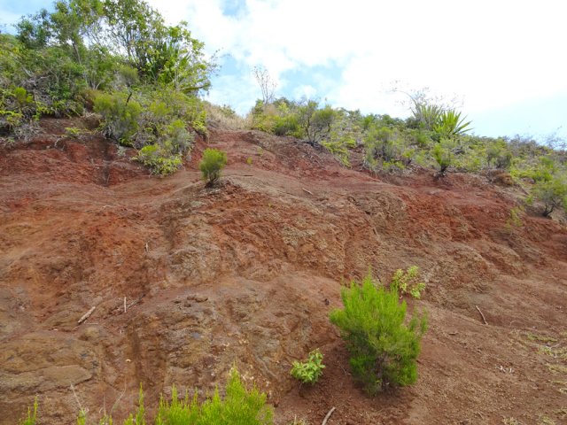 Ces terres rougeoyantes sont nombreuses dans le nord de l'île