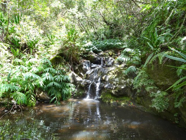 Courte halte pour voir un bassin sur la Ravine de la Glacière