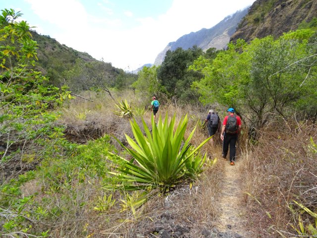 A partir du gué, emprunter le sentier des Îlets du Bras de St-Paul