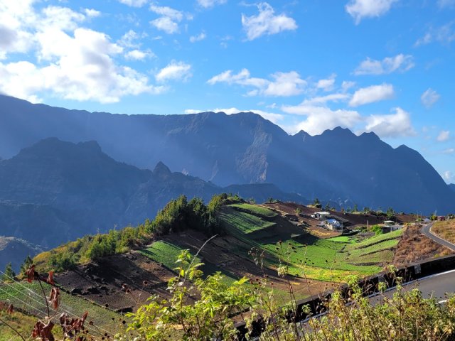 Les champs de lentilles au lever du soleil à l'Îlet à Cordes