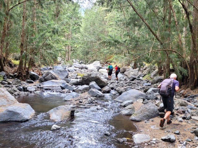 Nouvelle balade entre filaos et rochers