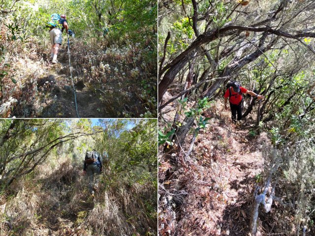 Quelques idées du sentier de l'Îlet des Fleurs Jaunes montant toujours fortement