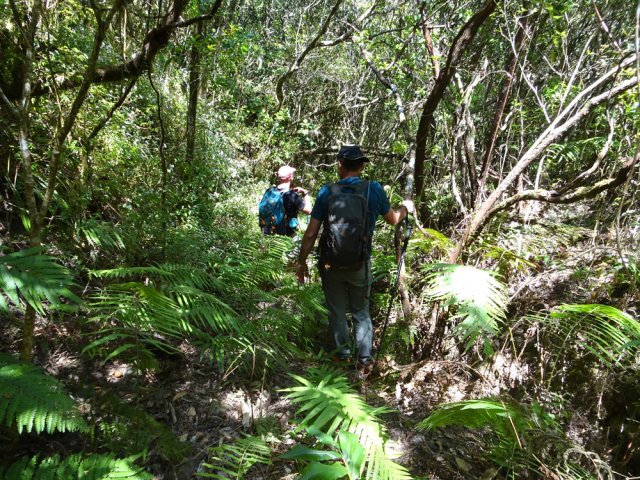 La jonction est assez facile contrairement à la montée et descente de talus