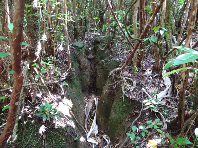 Des marches dépassent parfois le mètre de hauteur